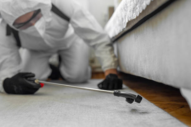Professional Emergency Pest Control technician working in South Chicago Heights, IL