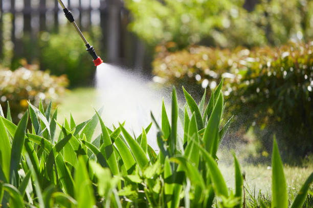 24/7 Emergency Emergency Pest Control experts in South Chicago Heights, IL