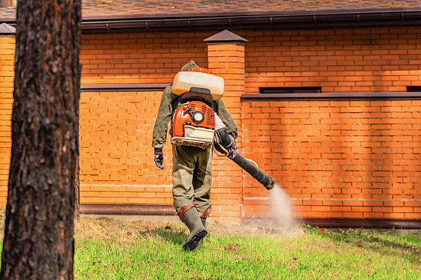 Trusted Emergency Pest Control service in South Chicago Heights, IL - Nex Pest Control